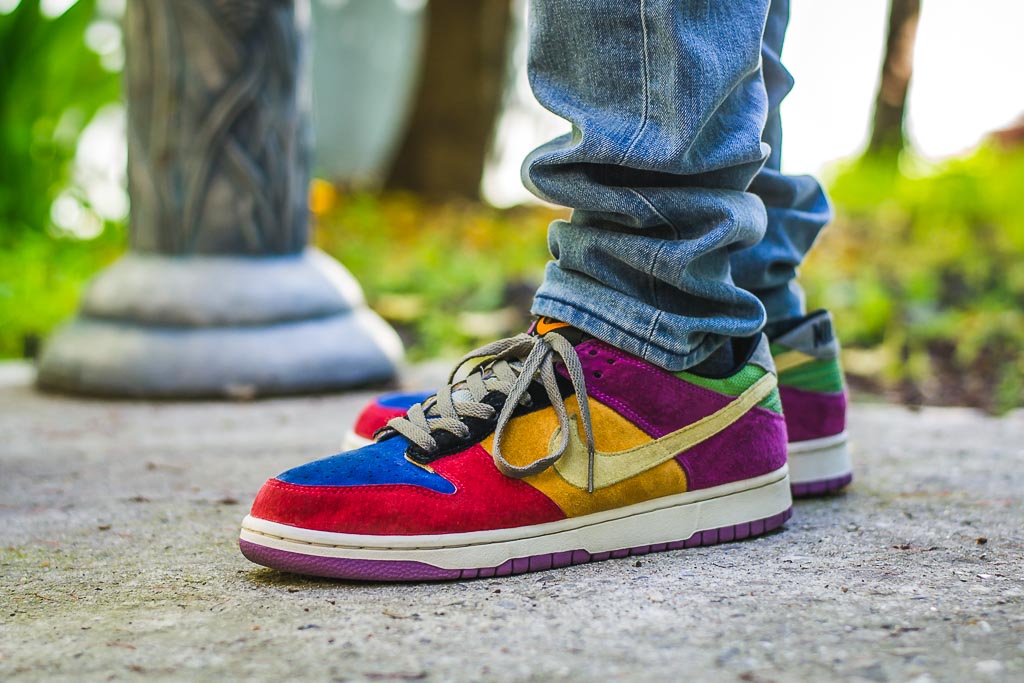 Nike Dunk Low Pro Viotech - On Foot 