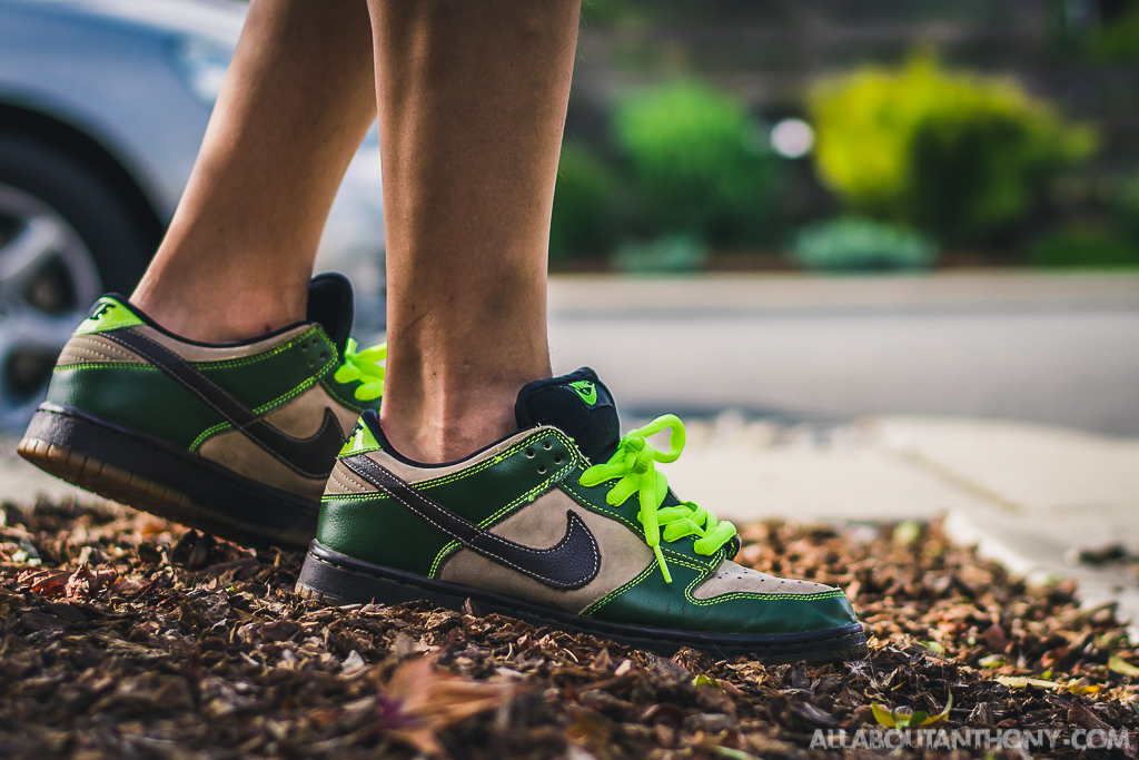 Nike Dunk SB Low Jedi - On Feet Sneaker 