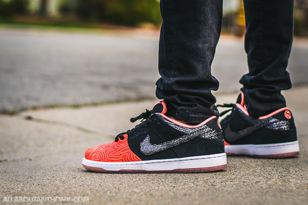 Nike Dunk Low SB Fish Ladder Review