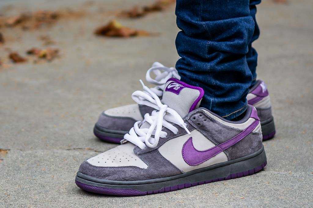 Nike Dunk SB Low Purple Pigeon On Foot 