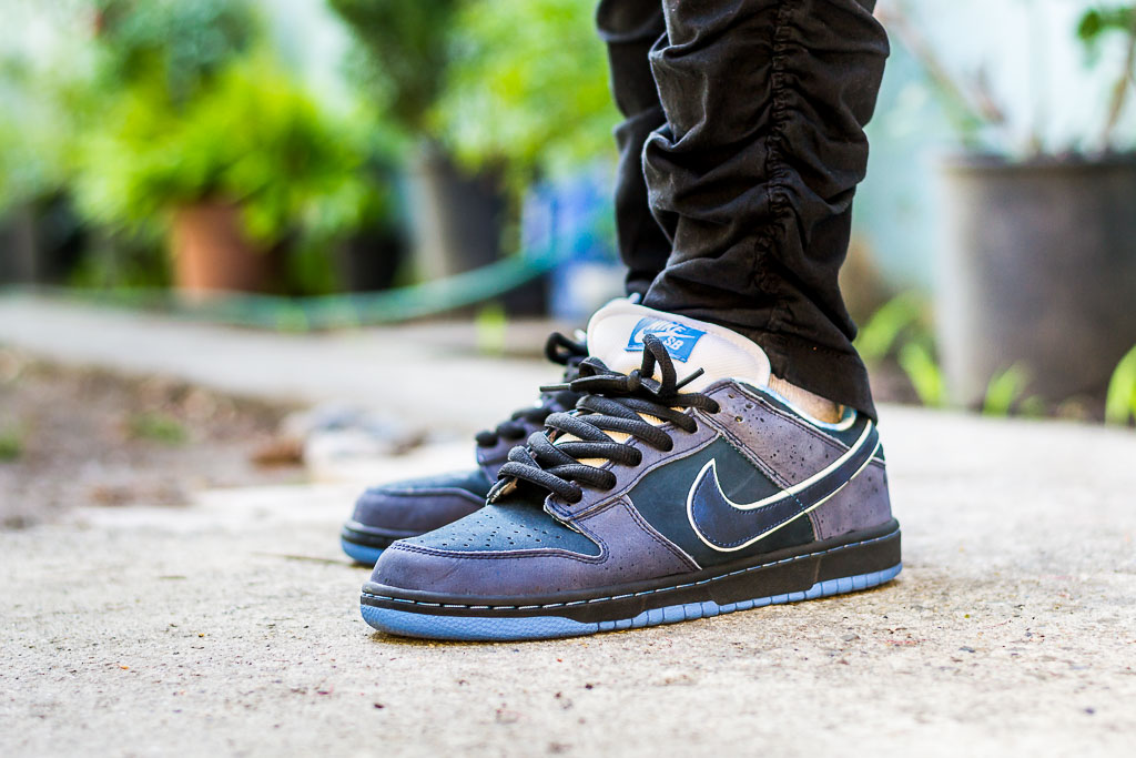 blue lobster nike sb for sale on  shoes