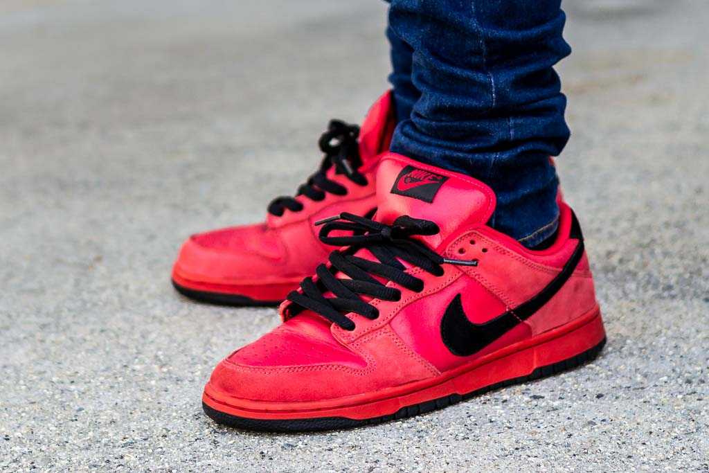 dealer Labe Inloggegevens Nike Dunk Low SB True Red On Feet Sneaker Review