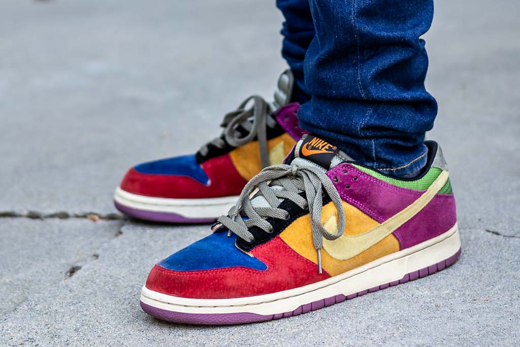 Nike Dunk Low Pro Viotech - On Foot 
