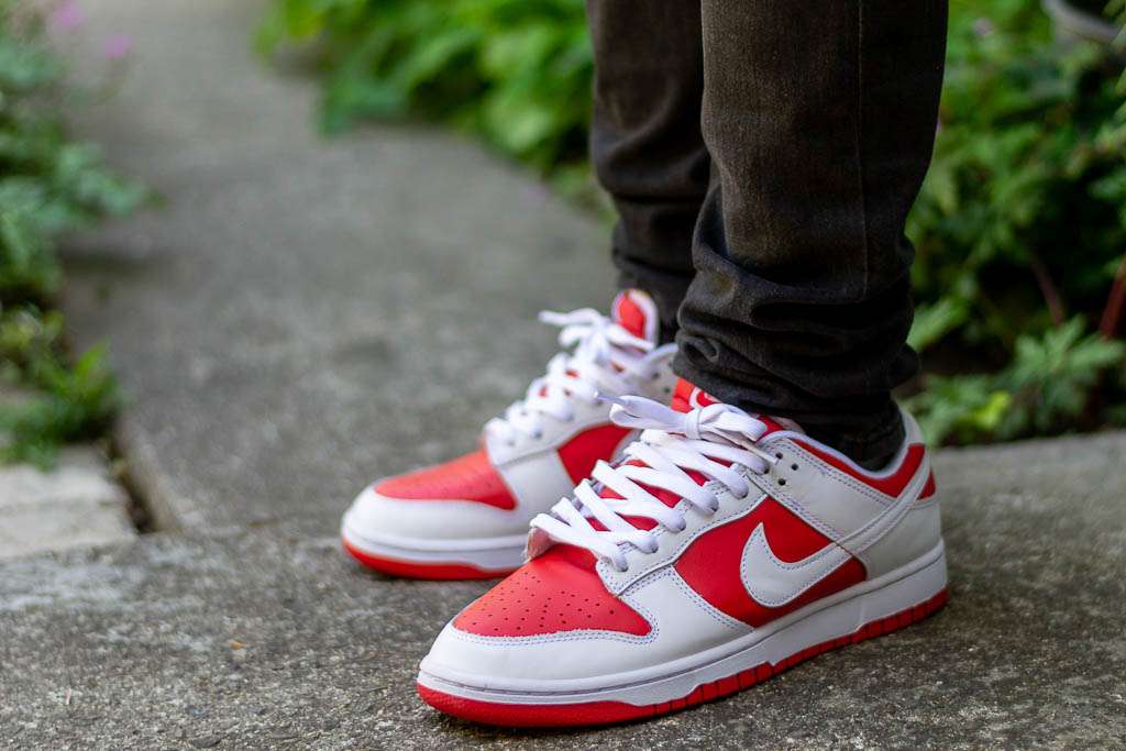 Nike Dunk Low Review