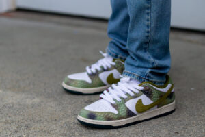 Nike SB Dunk Low Chameleon On Feet WDYWT