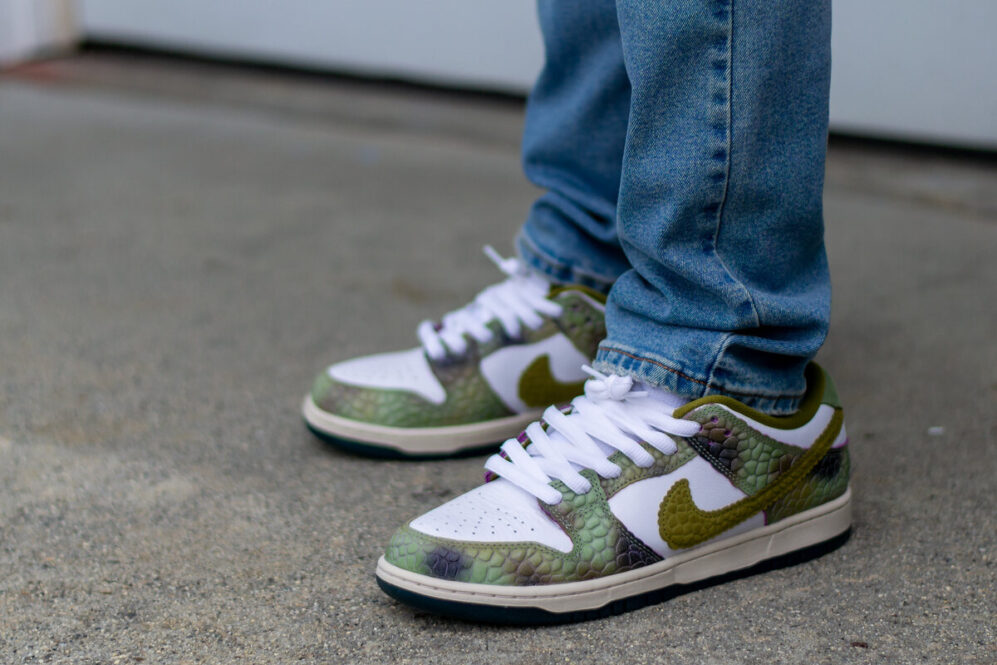 Nike SB Dunk Low Chameleon Review